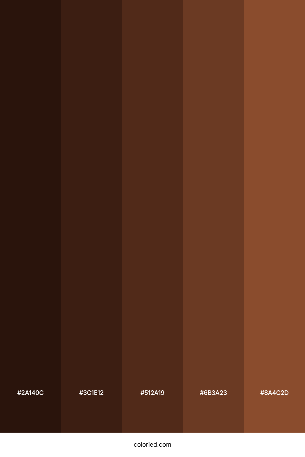 Dark Chocolate Color Palette