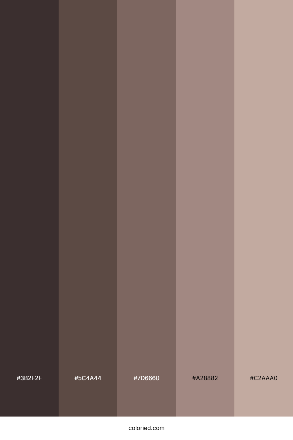 Dark Coffee Color Palette