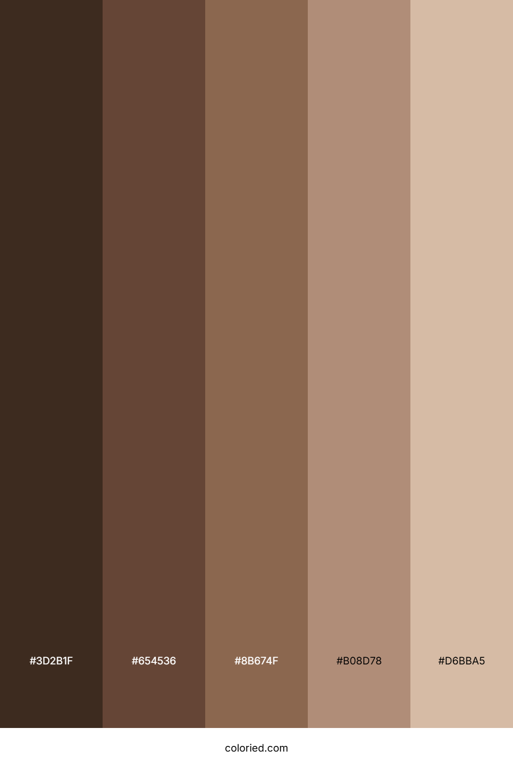 Dark Coffee Shades Color Palette