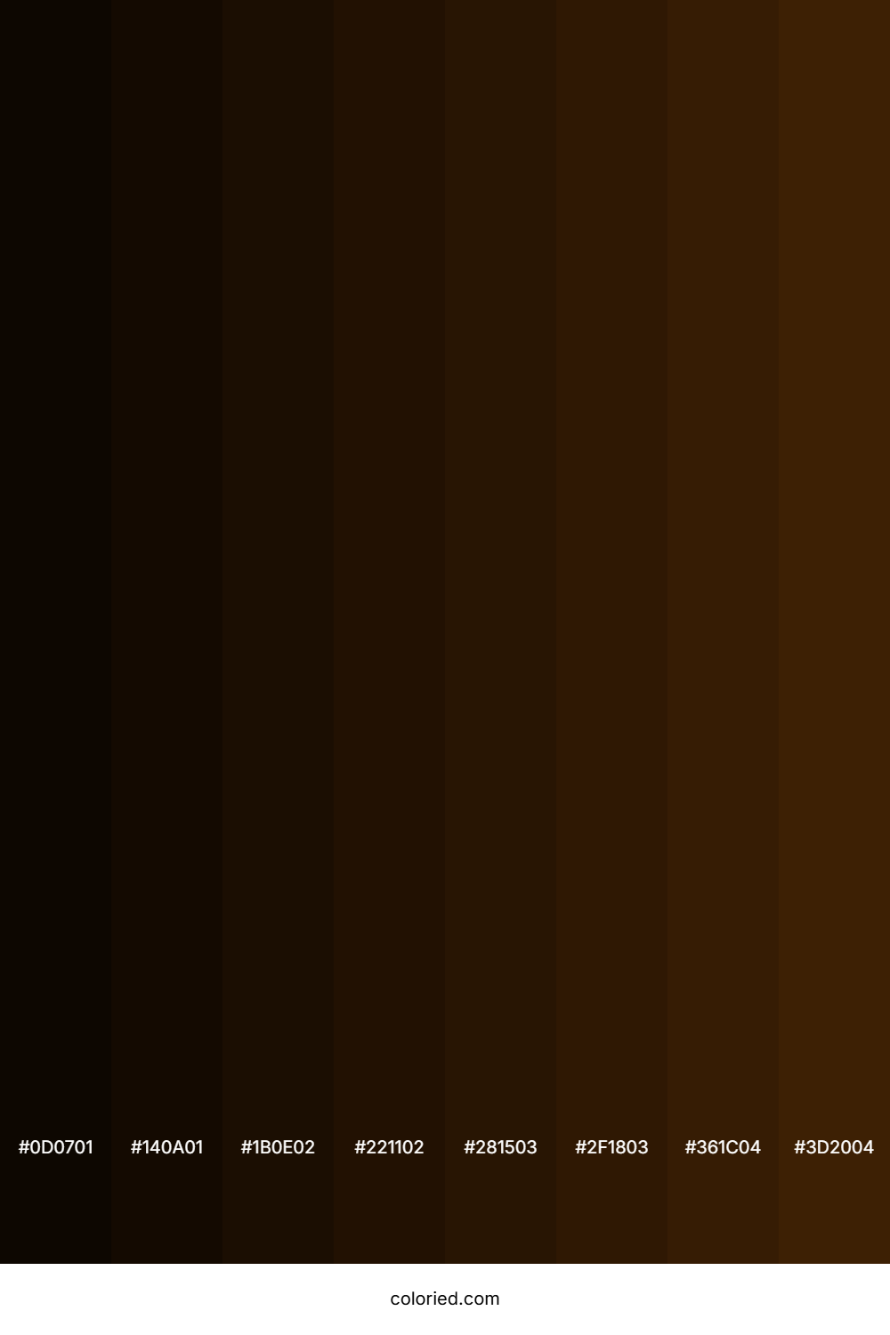 Dark Ebony Color Shades