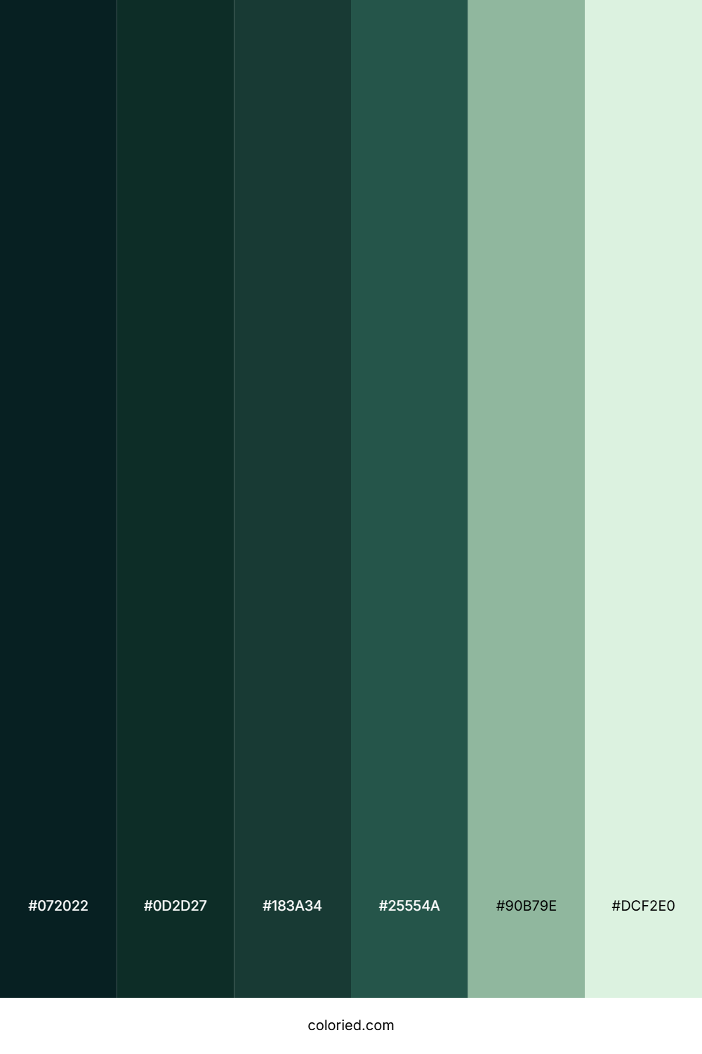 Dark Forest and Mint Green Color Palette