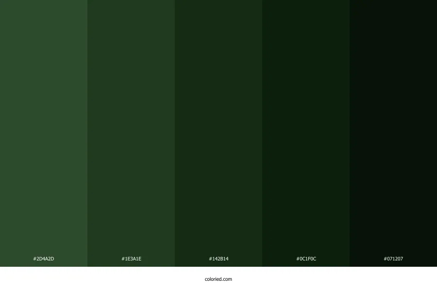 Dark Forest Green Color Palette