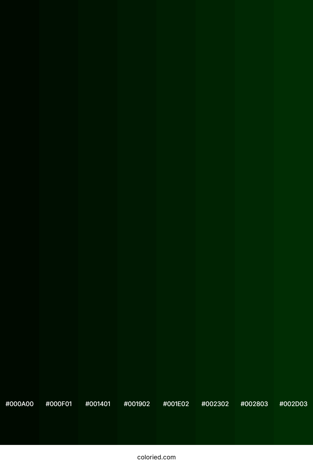 Dark Forest Green Color Shades