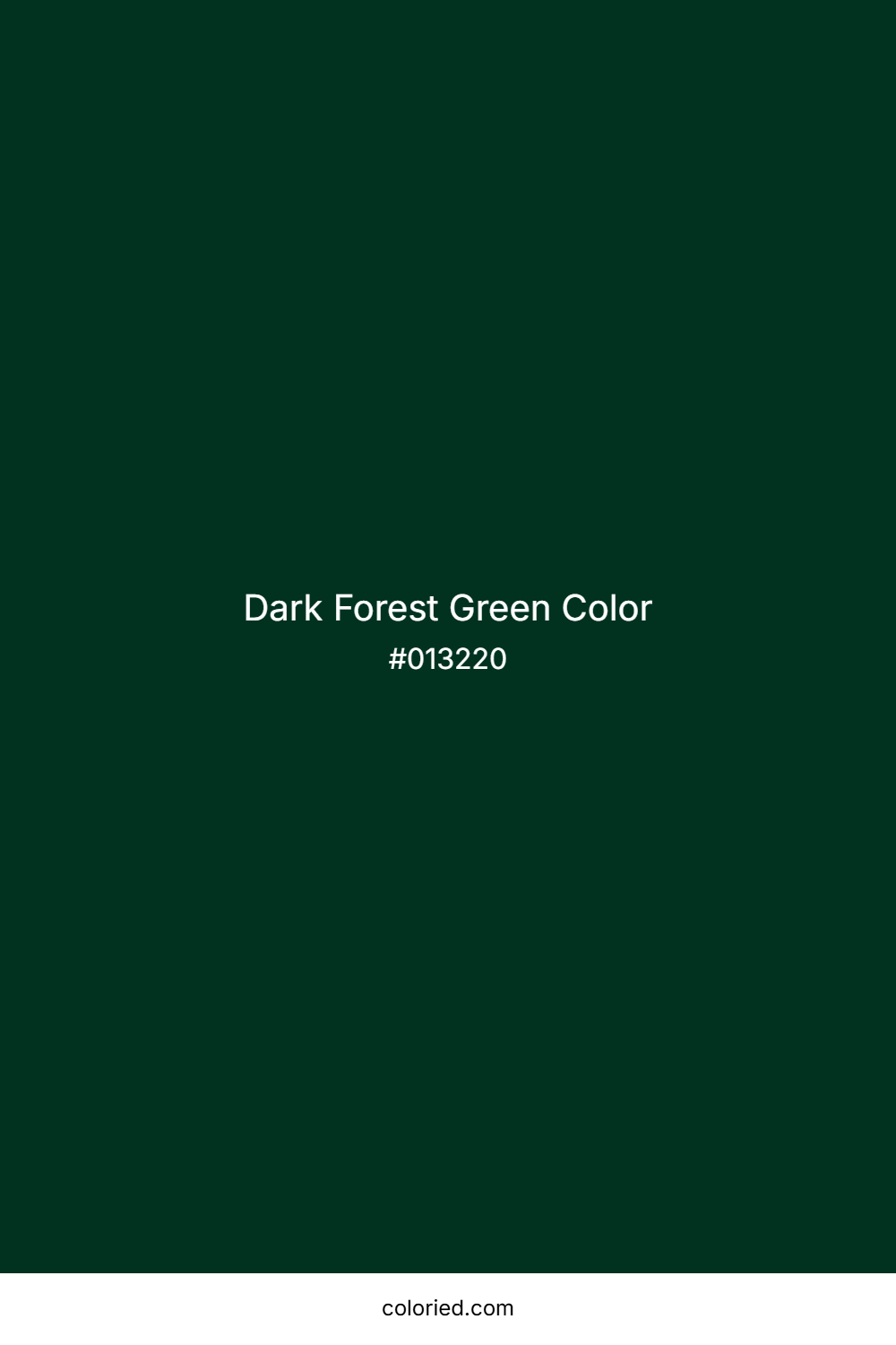 Dark Forest Green Color