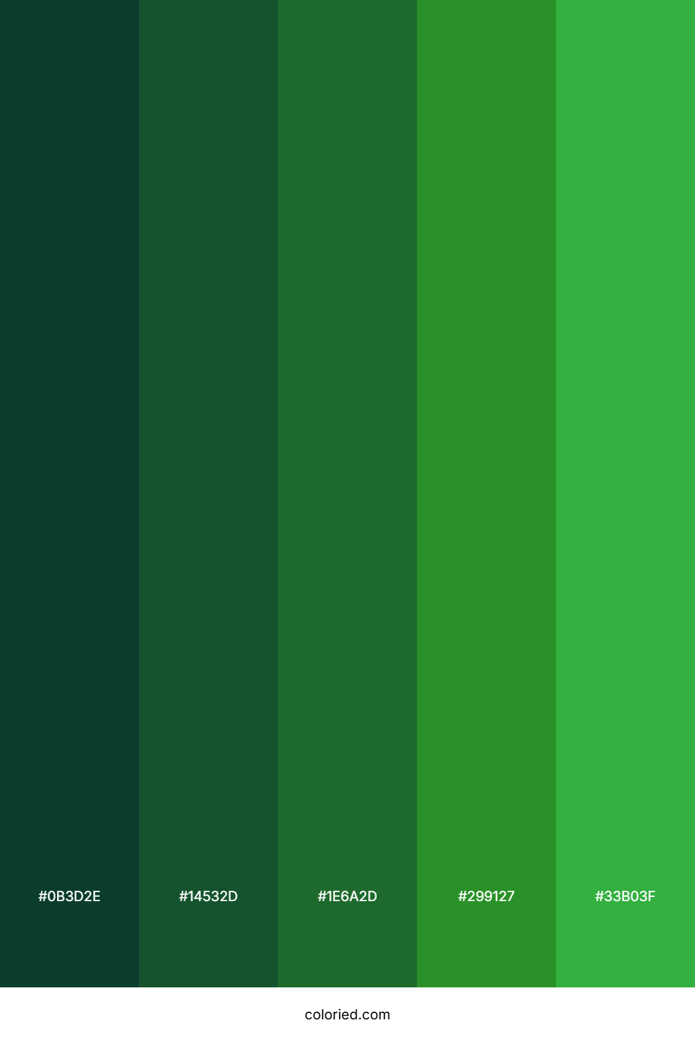 Dark Forest Greens Color Palette