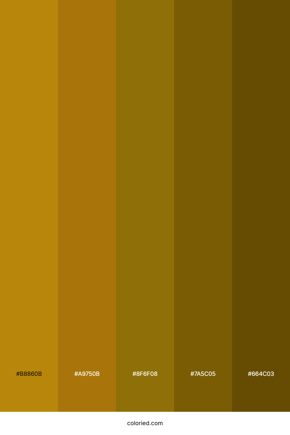 Dark Gold Box Color Palette