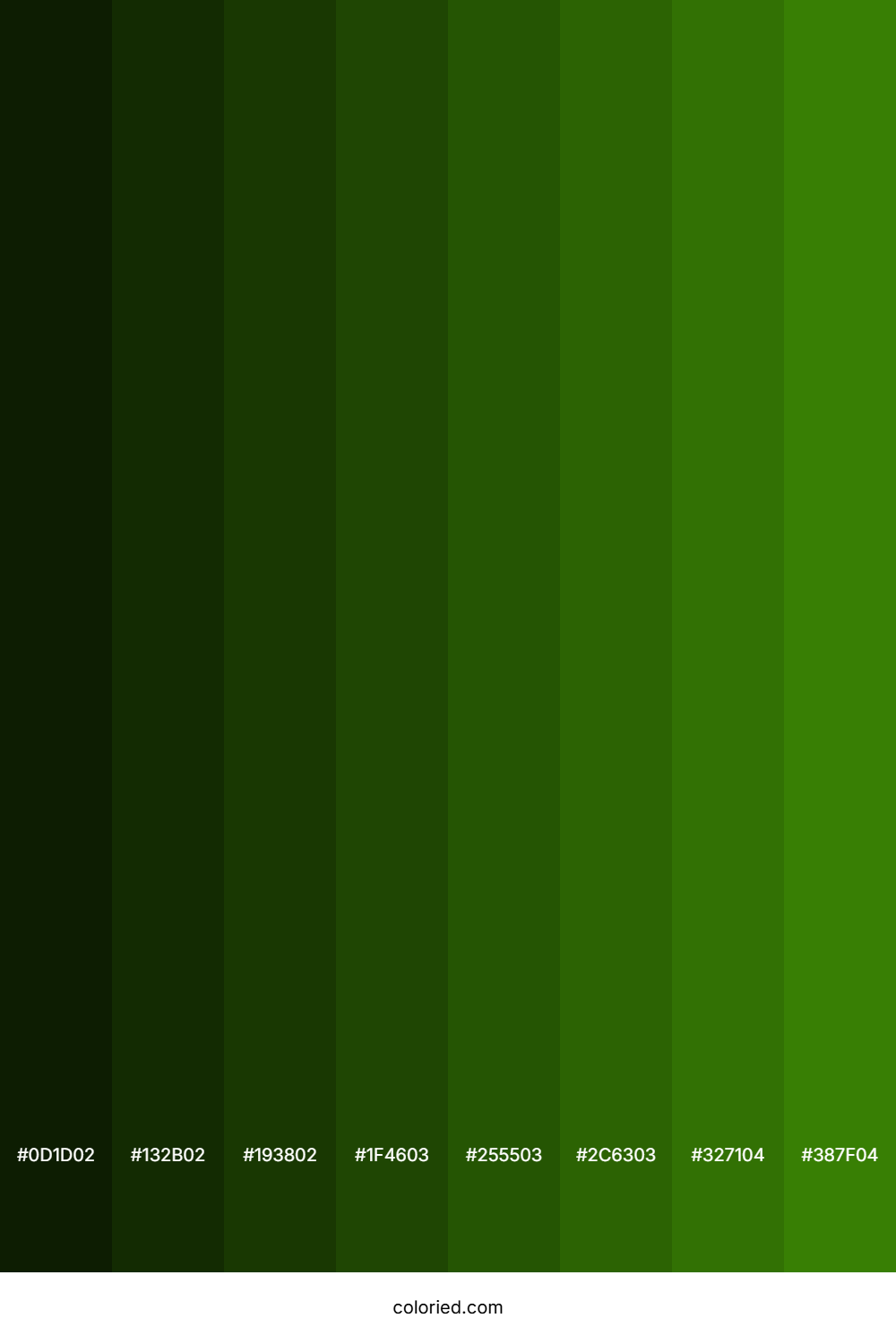Dark Grass Green Color Shades