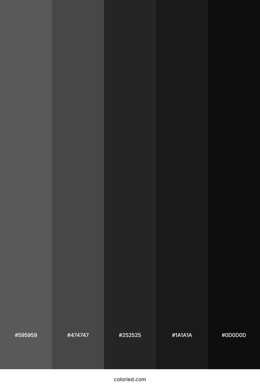 Dark Gray and Black Color Palette