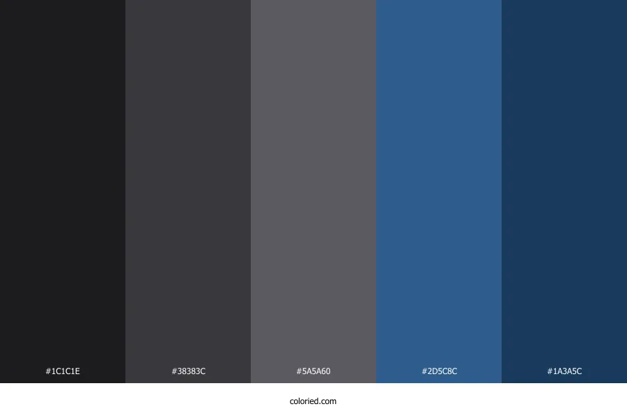 Dark Gray and Blue Color Palette