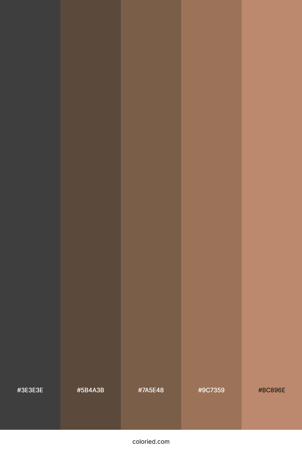 Dark Gray and Brown Color Palette