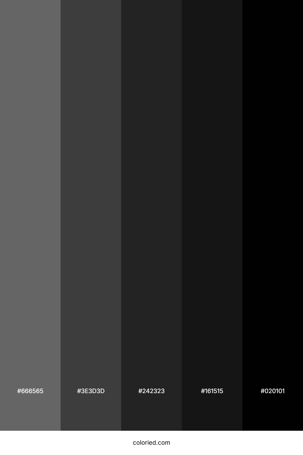 Dark Gray and Charcoal Color Palette