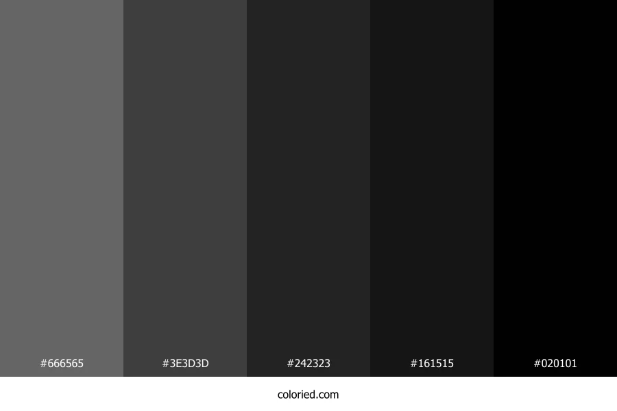 Dark Gray and Charcoal Color Palette