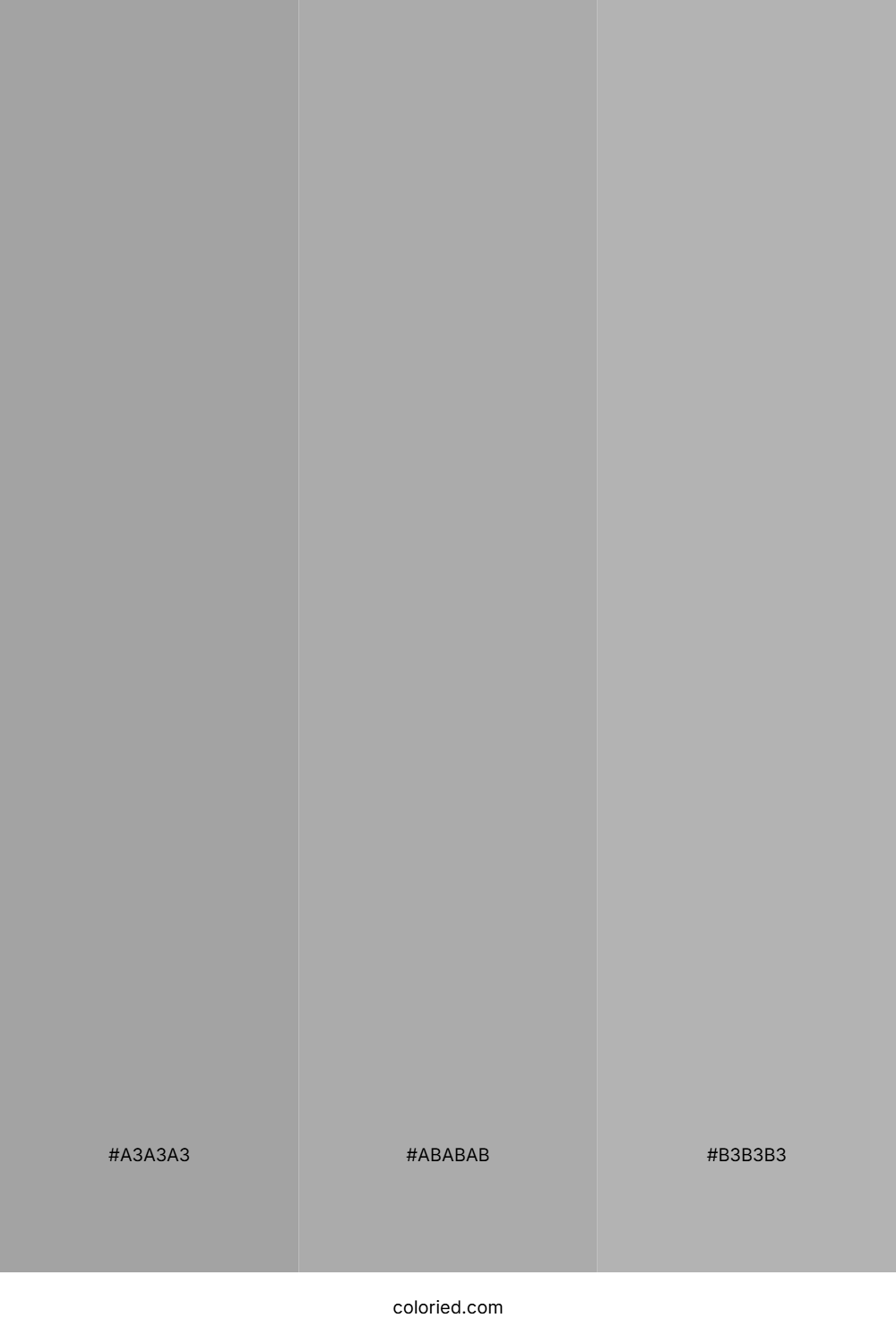 Dark Gray Matte and Gray Color Palette