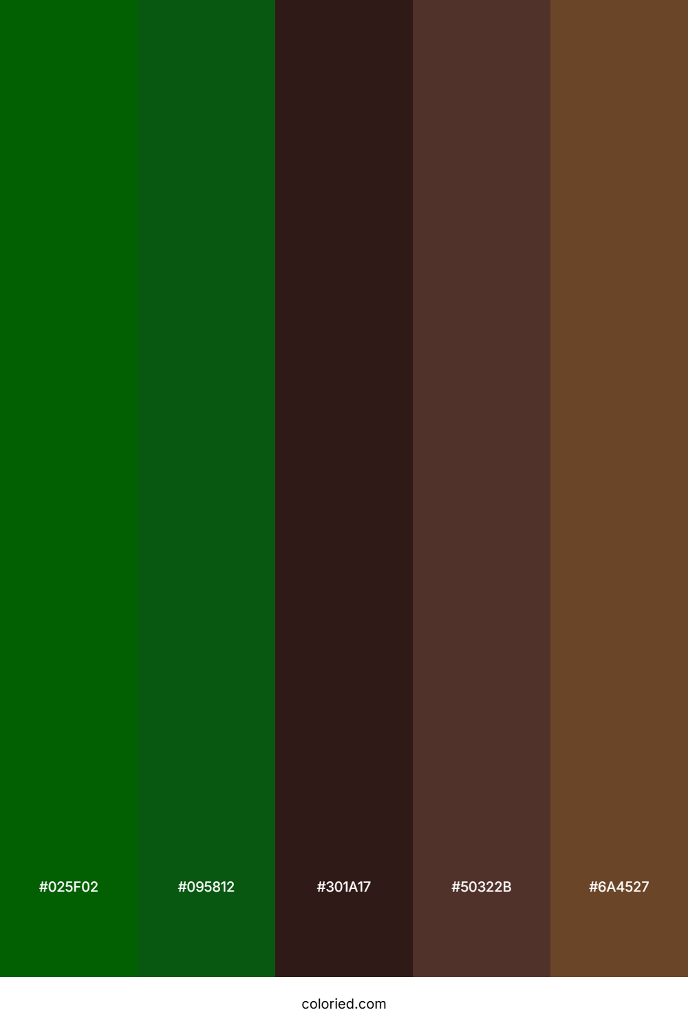 Dark Green and Brown Color Palette