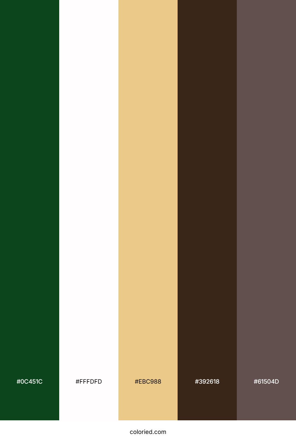 Dark Green and Cream Color Palette