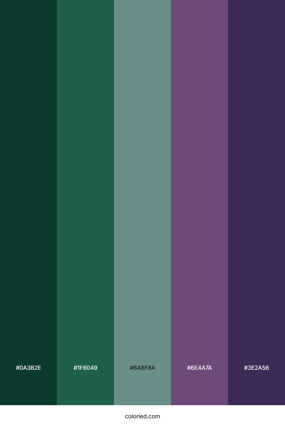 Dark Green and Purple Color Palette