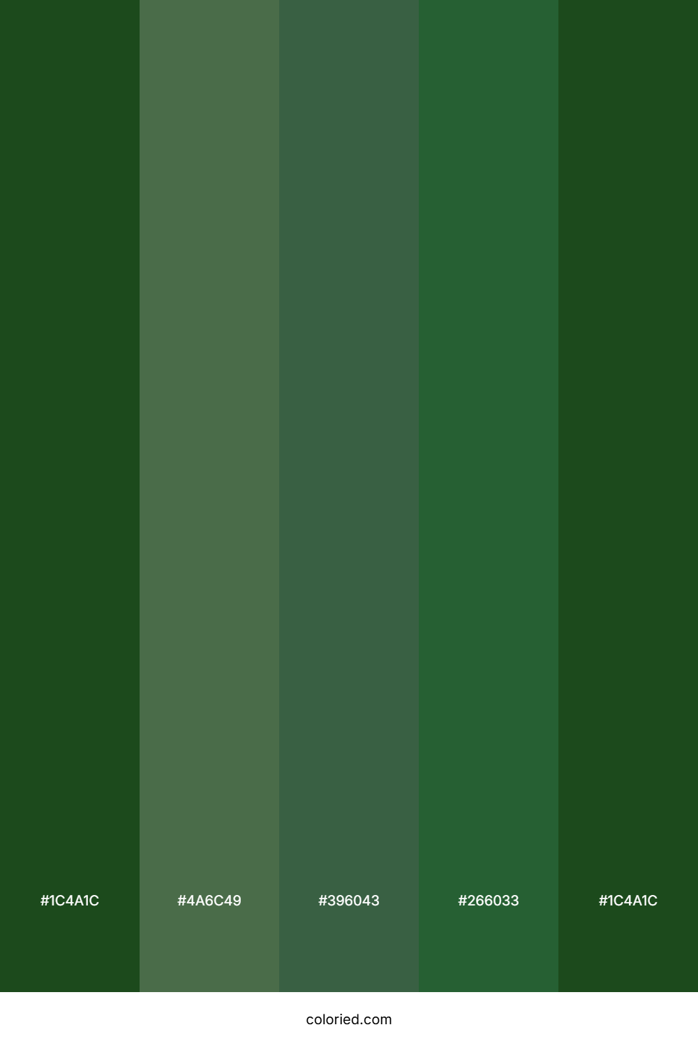 Dark Green And Sage Color Palette