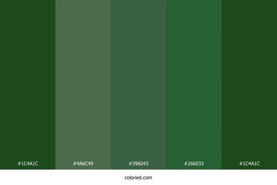 Dark Green and Sage Color Palette