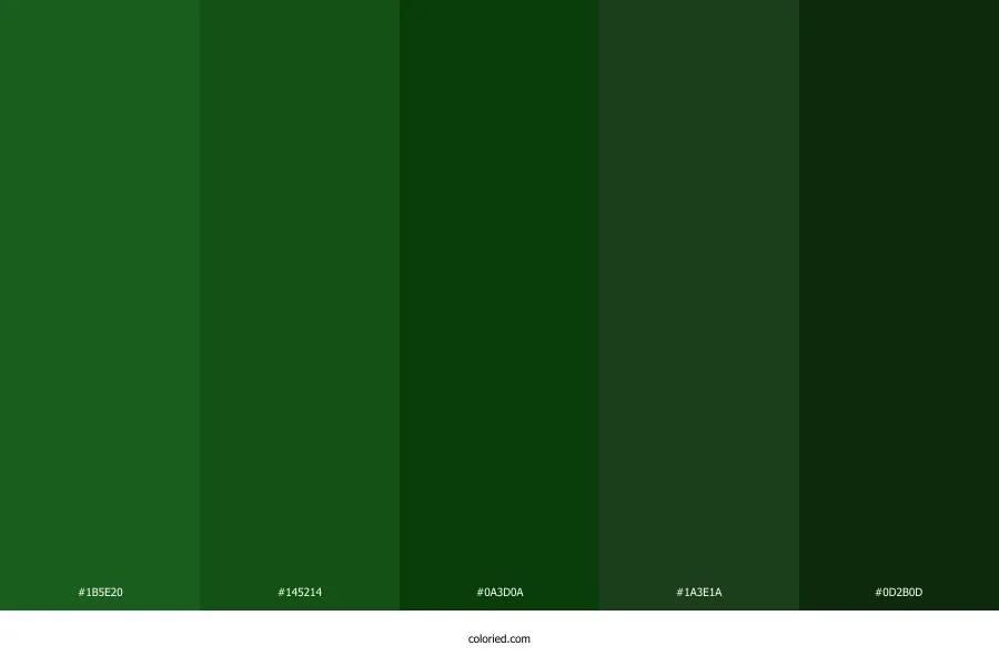 Dark Green Color Palette