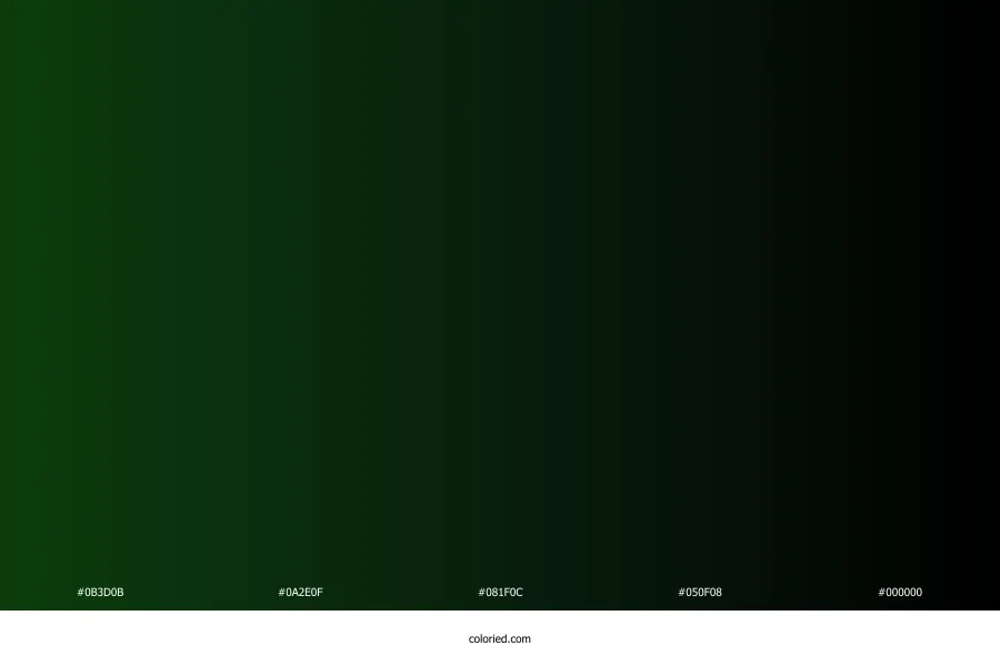 Dark Green to Black Gradient