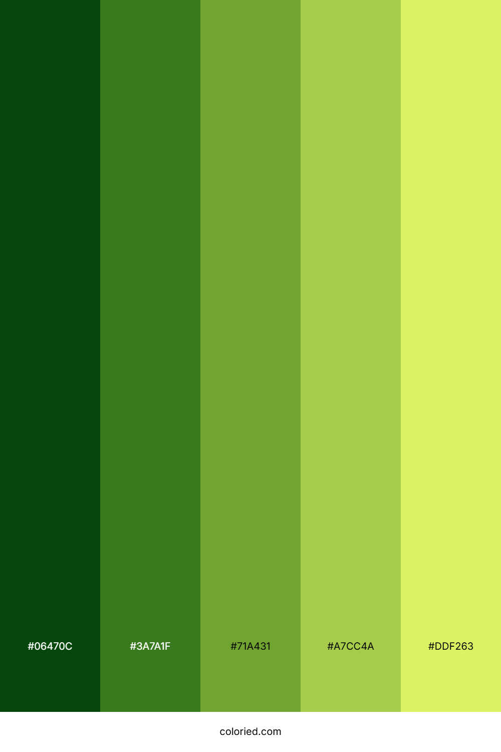 Dark Green to Yellow Color Palette