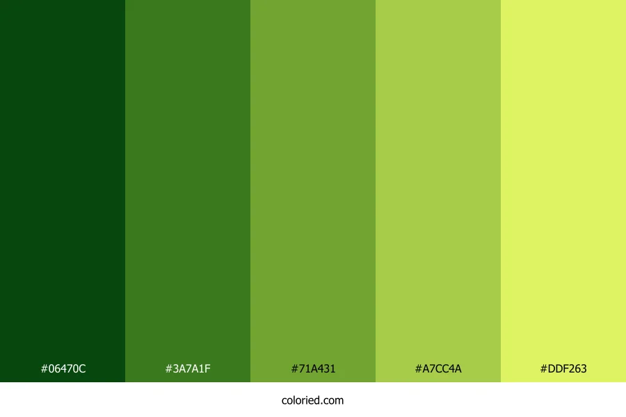 Dark Green to Yellow Color Palette