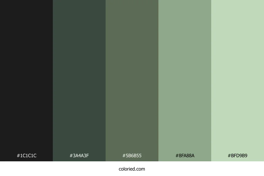 Dark Grey and Green Color Palette