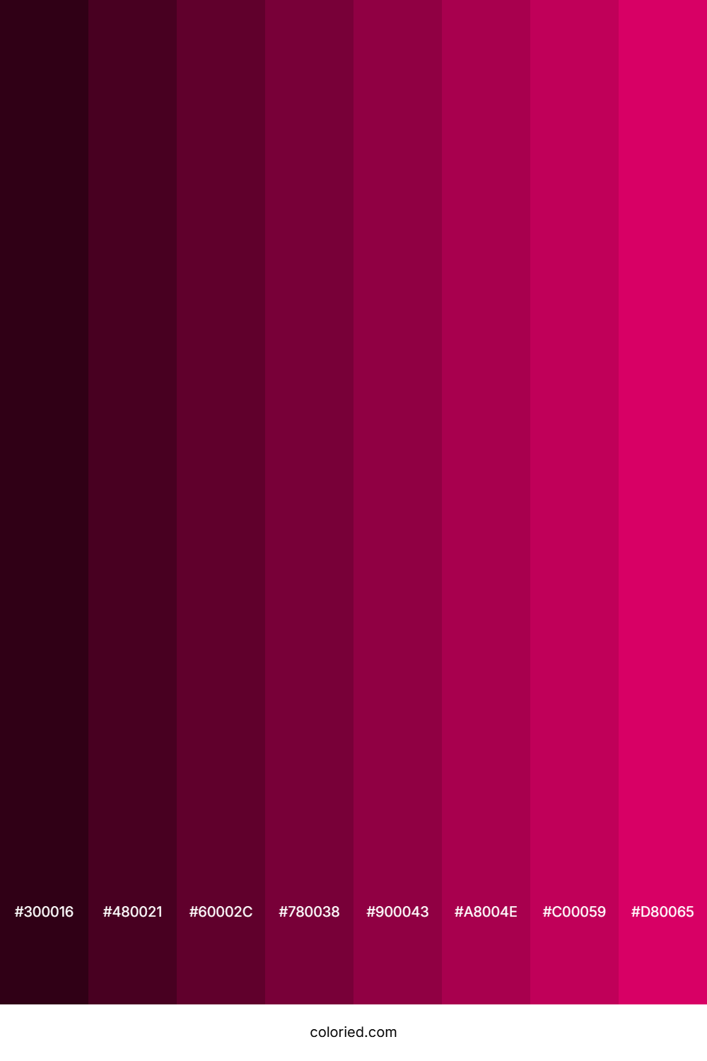 Dark Hot Pink Color Shades