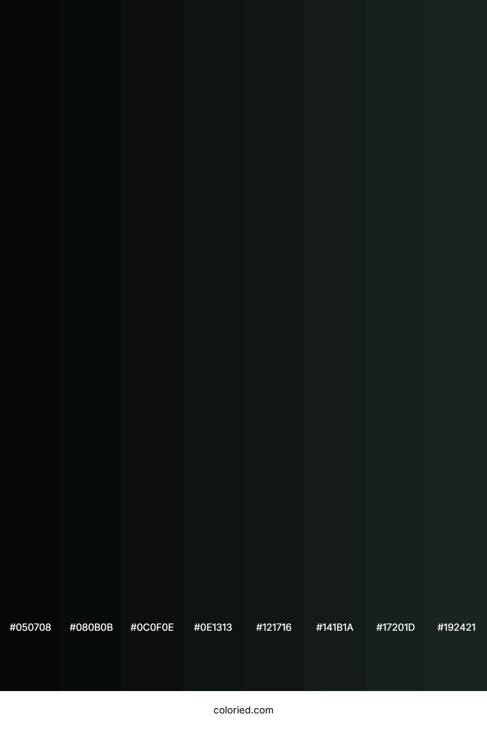 Dark Jungle Green Color Shades