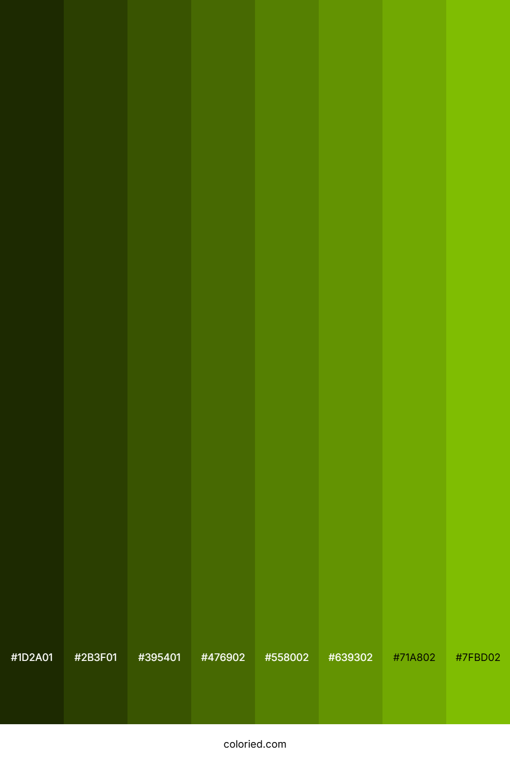 Dark Lime Green Color Shades