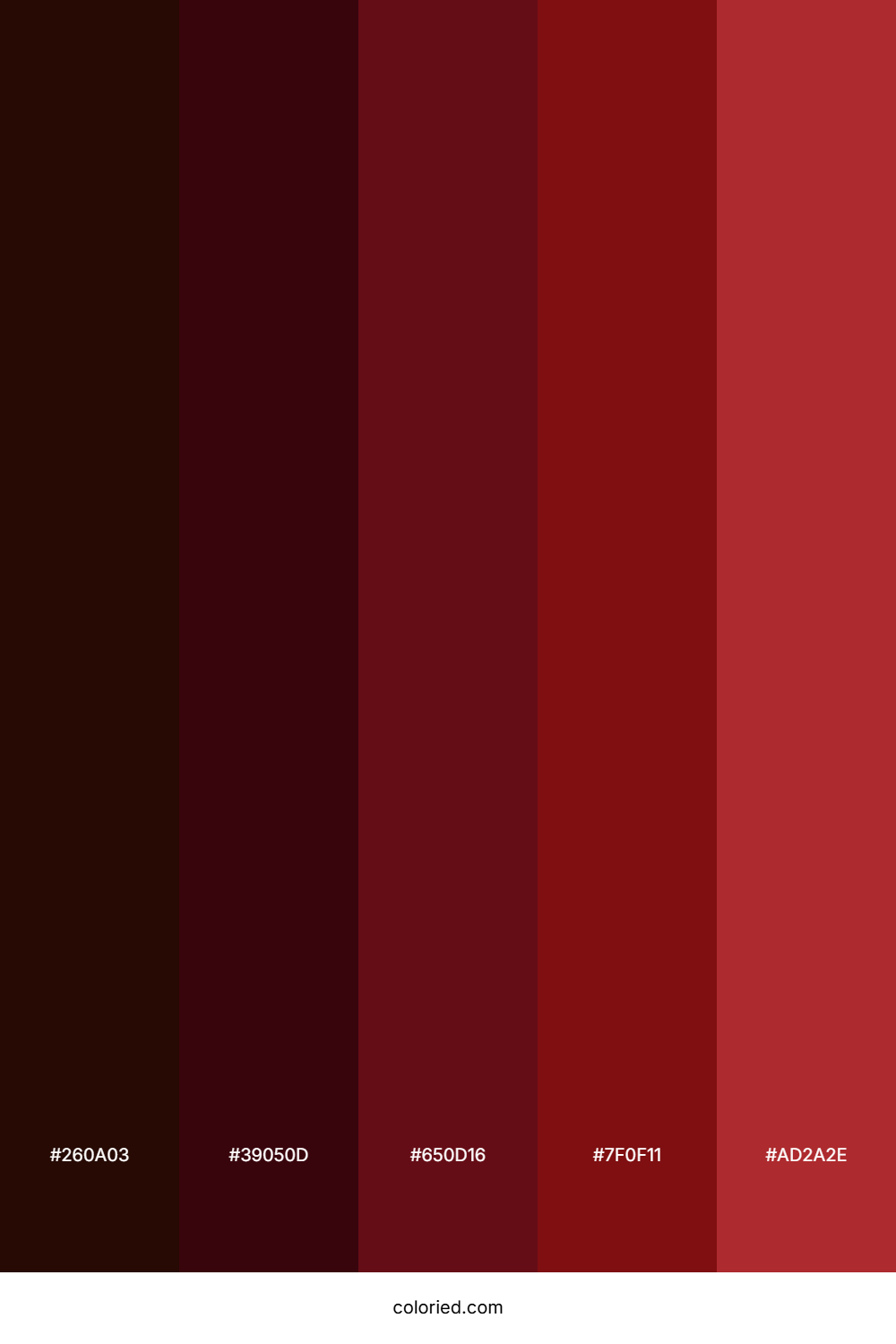 Dark Maroon Cabernet Color Palette