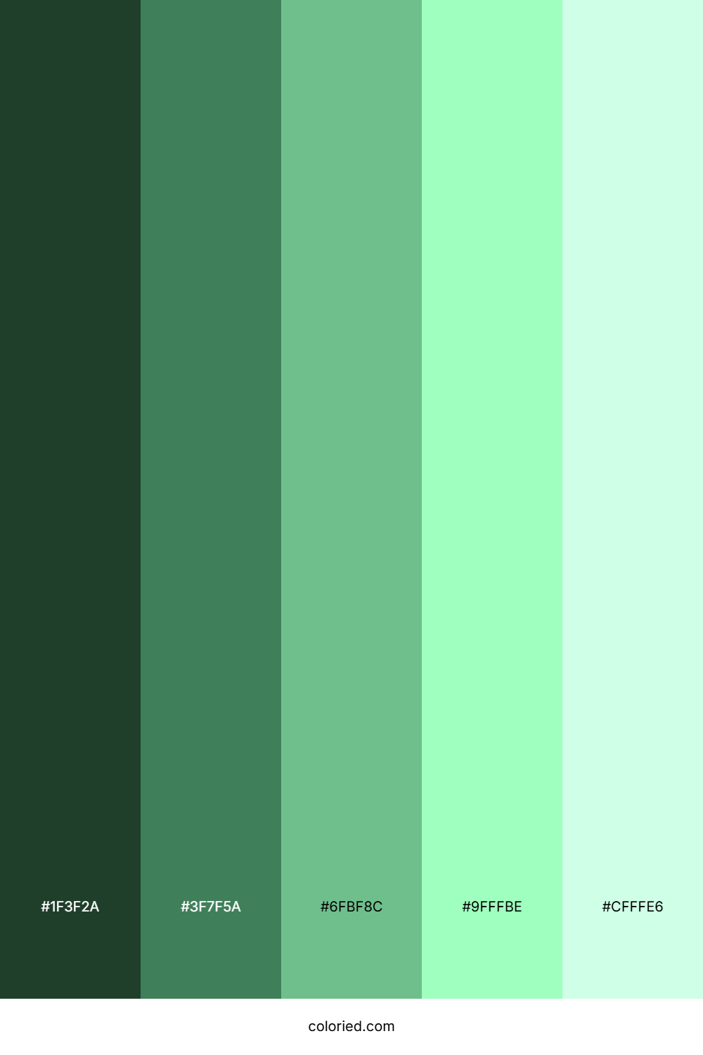 Dark Mint Color Palette