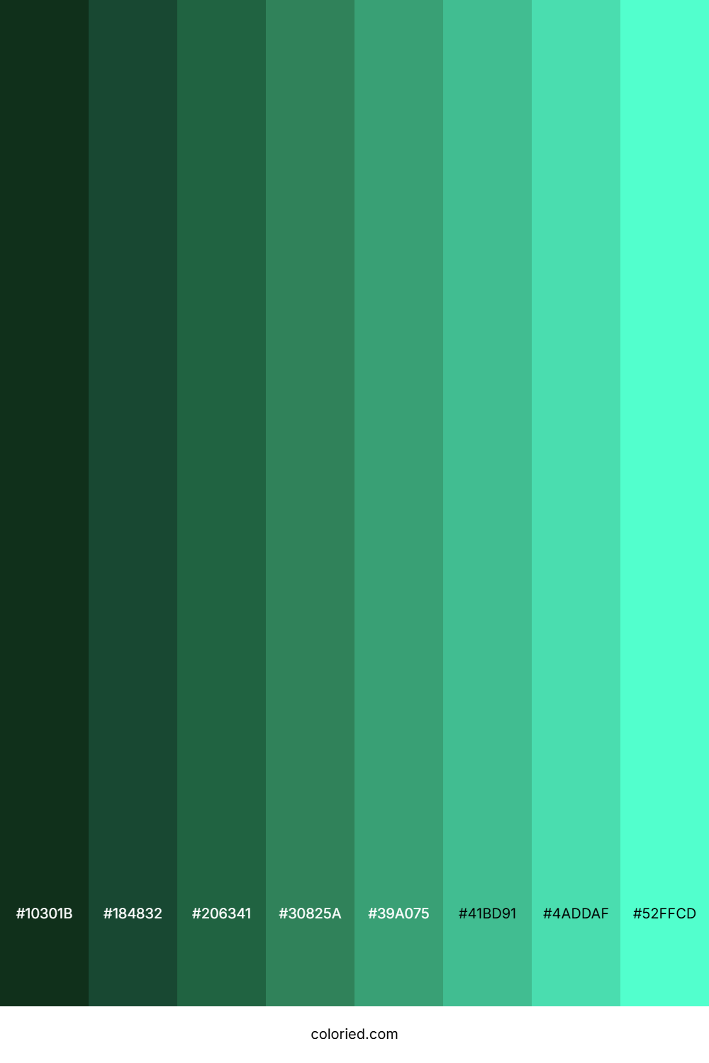 Dark Mint Color Shades