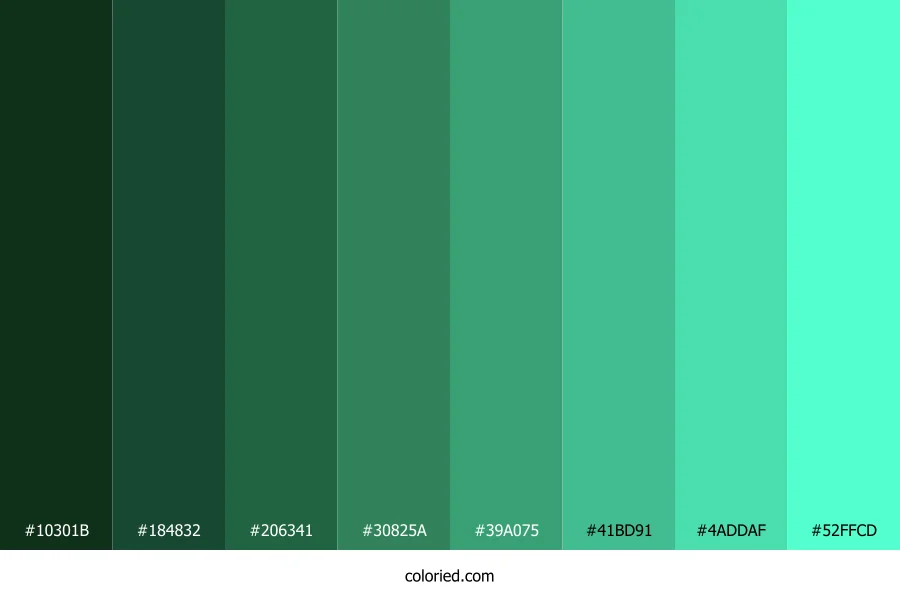 Dark Mint Color Shades