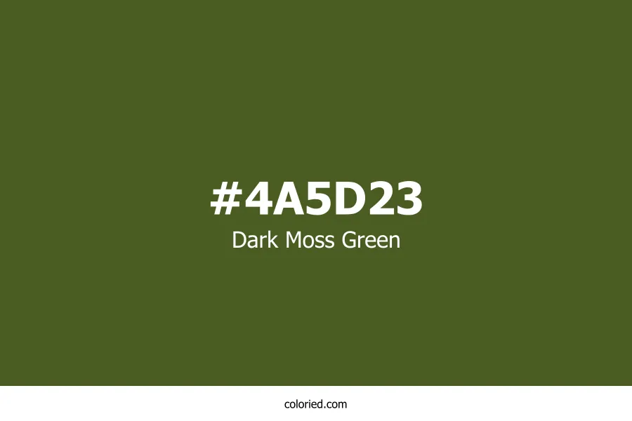 Dark Moss Green Color Hex Code
