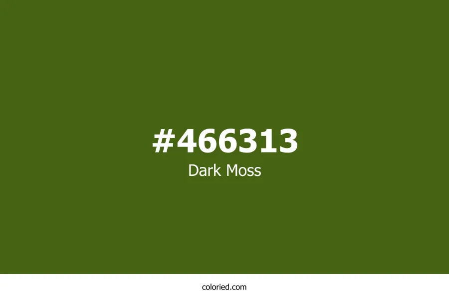 Dark Moss Color