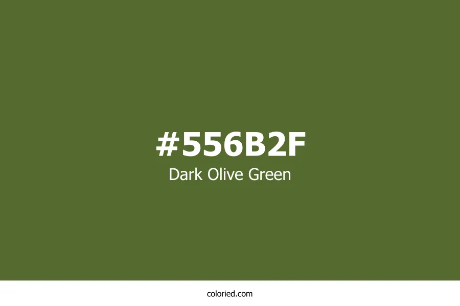 Dark Olive Green Color Hex Code
