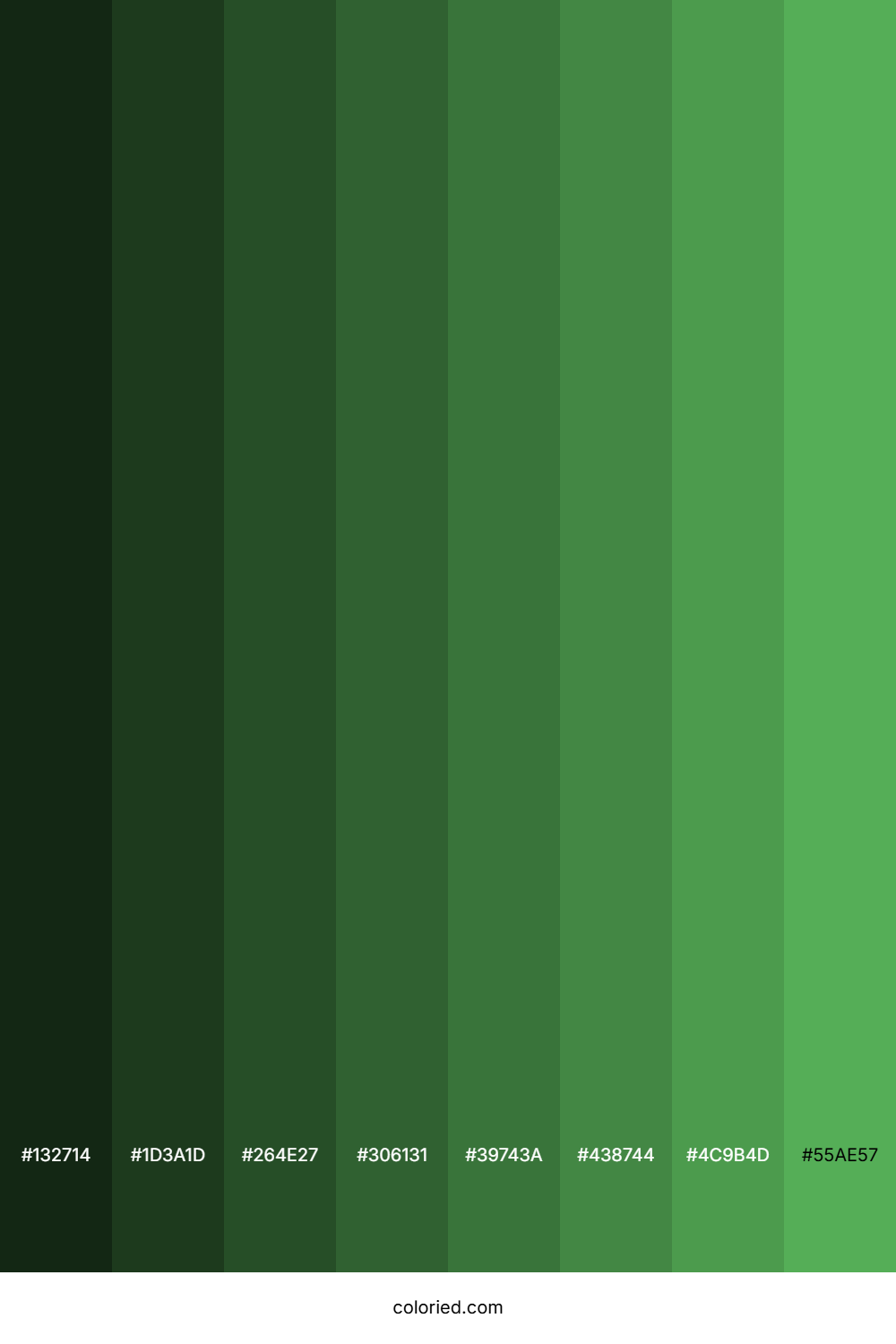 Dark Pastel Green Color Shades
