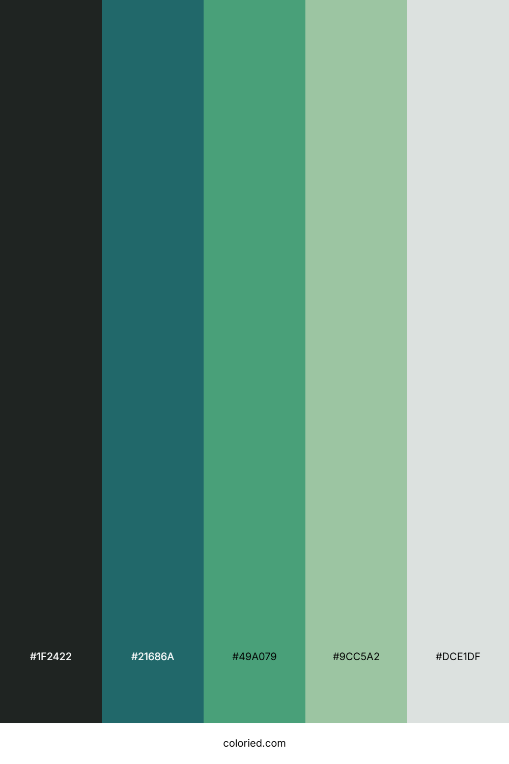 Dark Pine Mist Palette