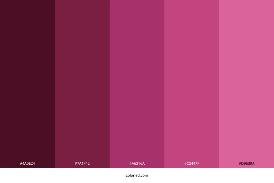 Dark Pink Color Palette