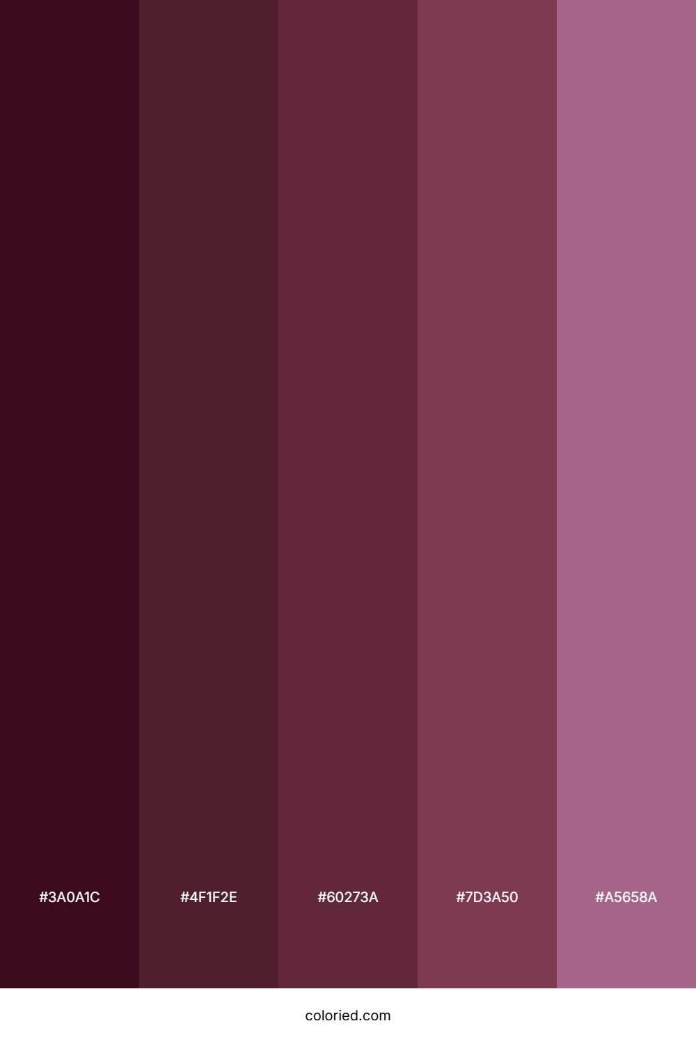 Dark Plum and Rose Color Palette