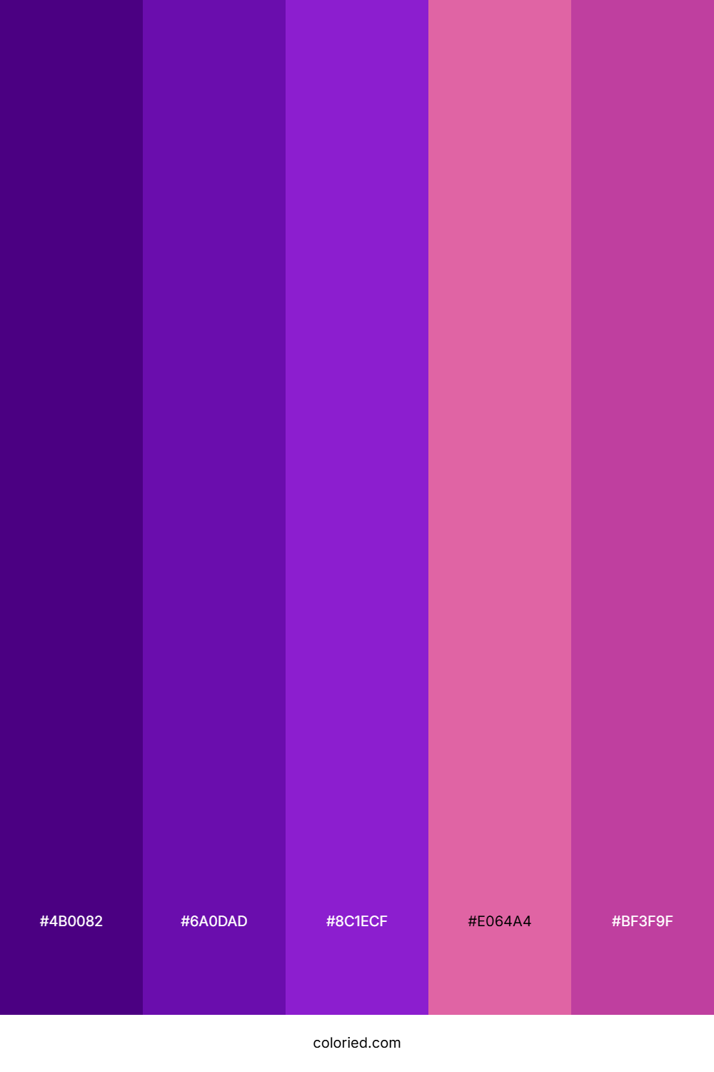 Dark Purple and Red Color Palette