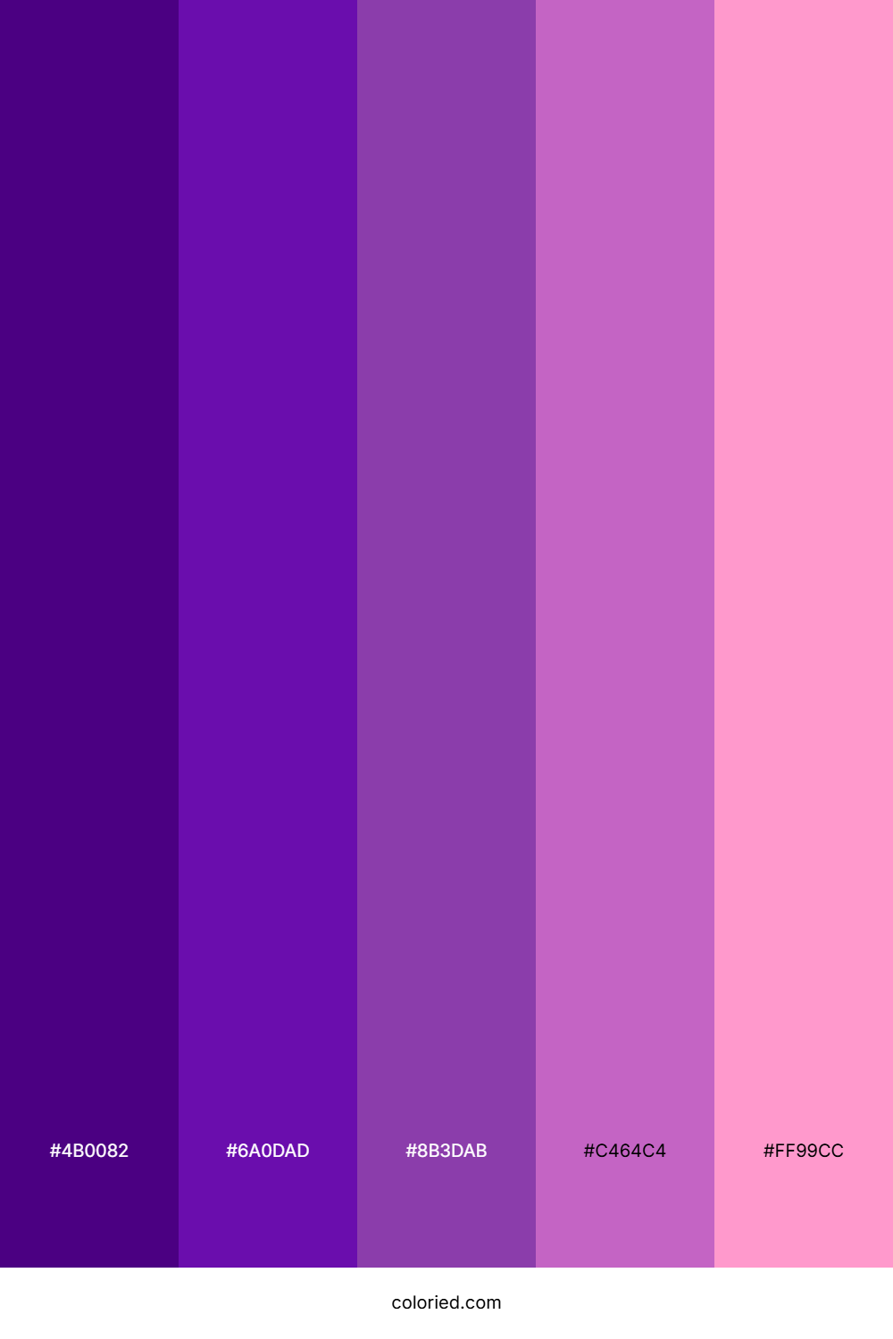 Dark Purple to Pink Color Palette