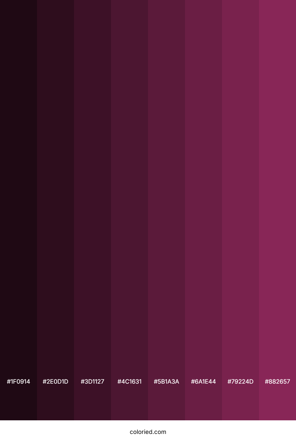 Dark Raspberry Color Shades