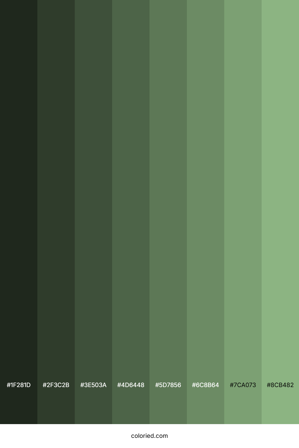 Dark Sea Green Color Shades