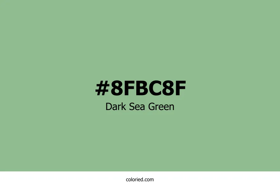 Dark Sea Green Color Hex Code
