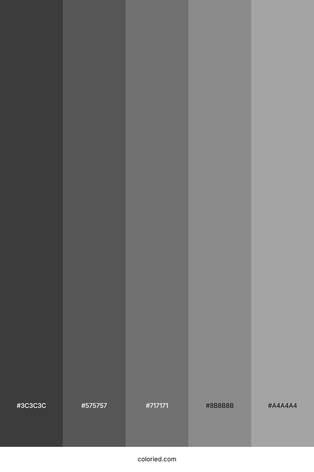 Dark Silver Gradient Color Palette