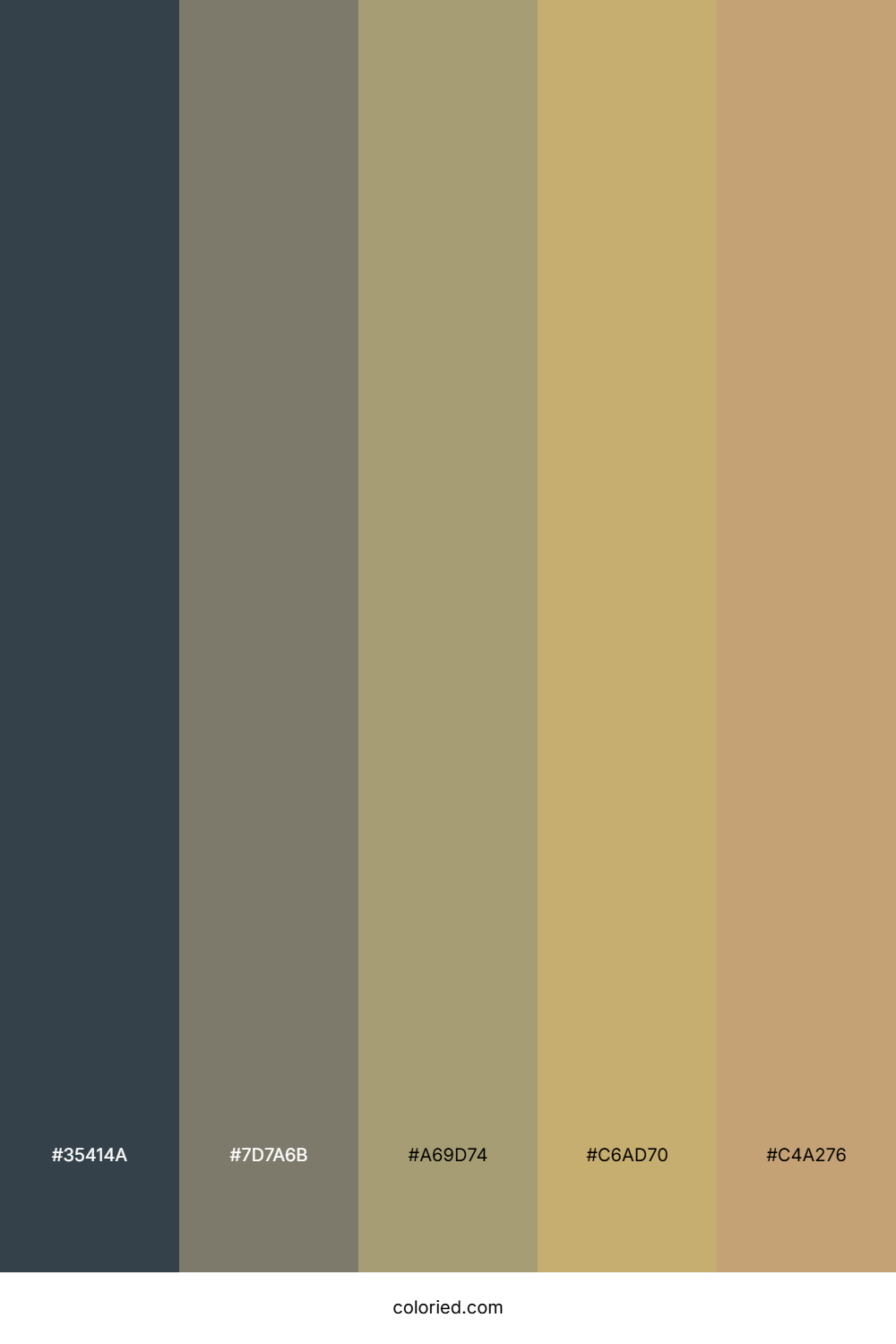 Dark Slate and Sandy Brown Color Palette