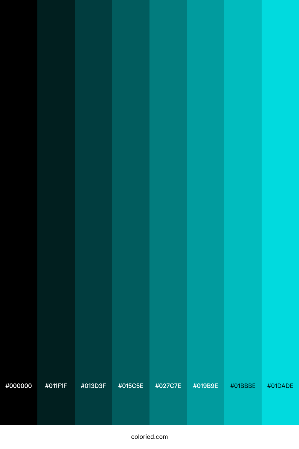 Dark Teal Shades