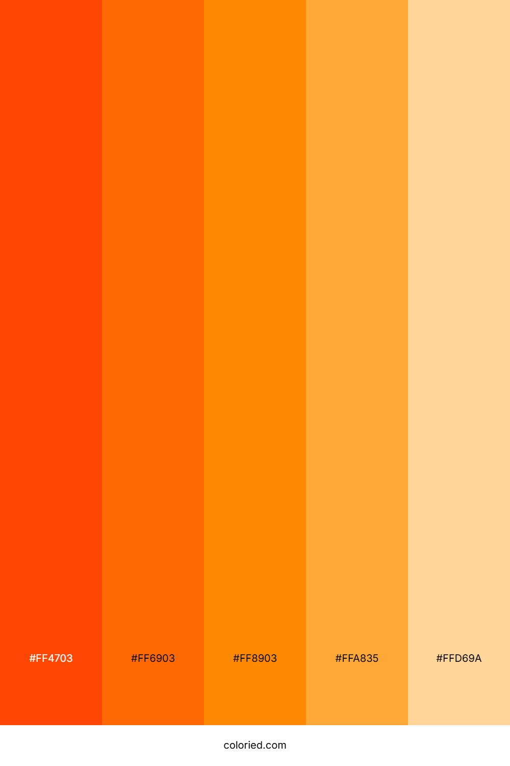 Dark to Light Orange Color Palette
